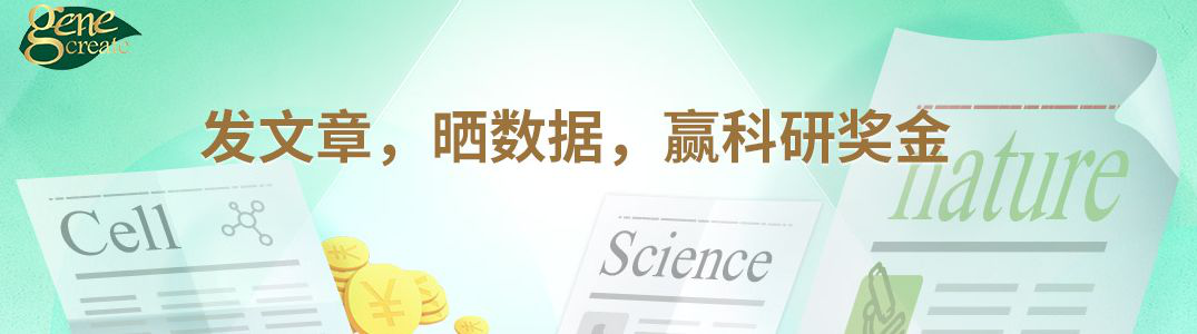 文献奖励