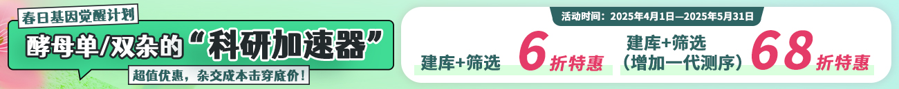 酵母单杂交