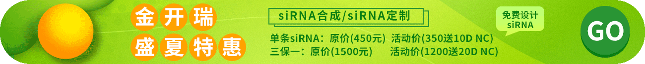RNA合成