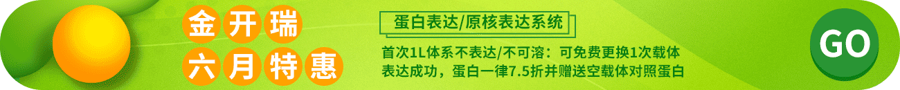 蛋白表达
