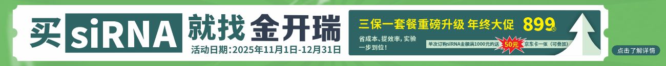 siRNA合成（三保一） 