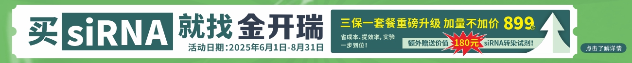 RNA合成