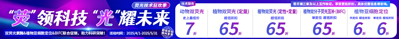 双荧光素酶报告系统