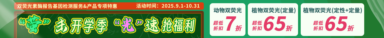 双荧光素酶报告系统