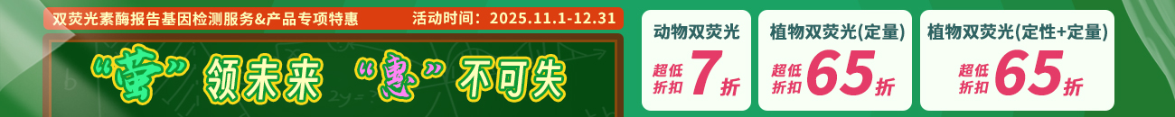 双荧光素酶报告系统