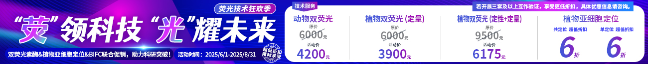 双荧光素酶报告系统