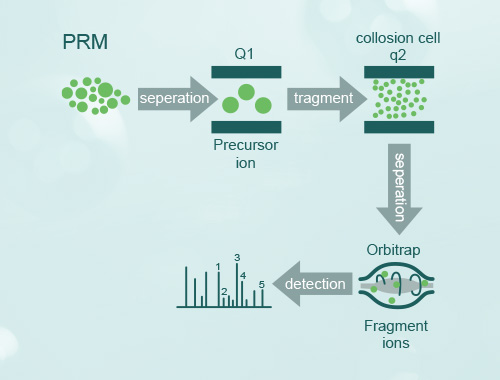 PRM