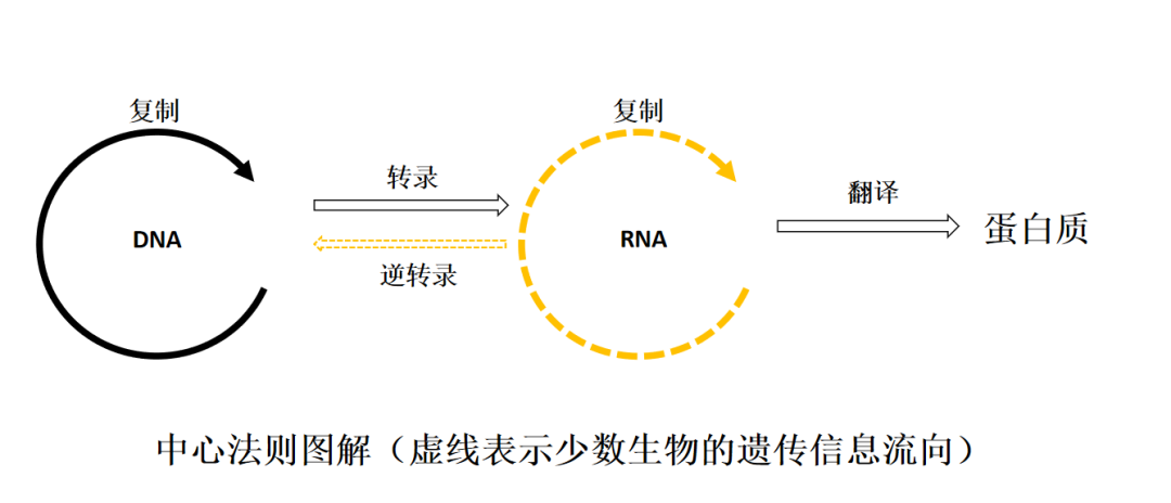 分子互作