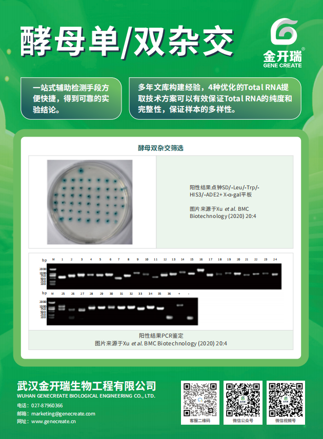 开学活动