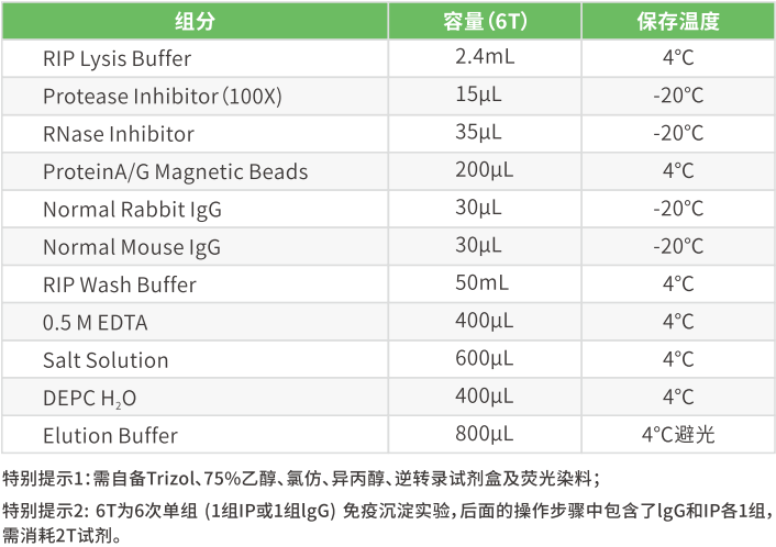 rip试剂盒组分成分