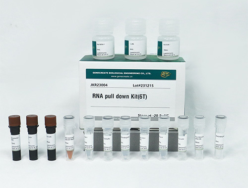 RNA pull-down试剂盒