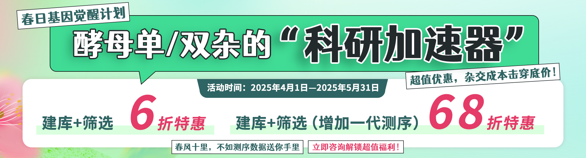 酵母杂交