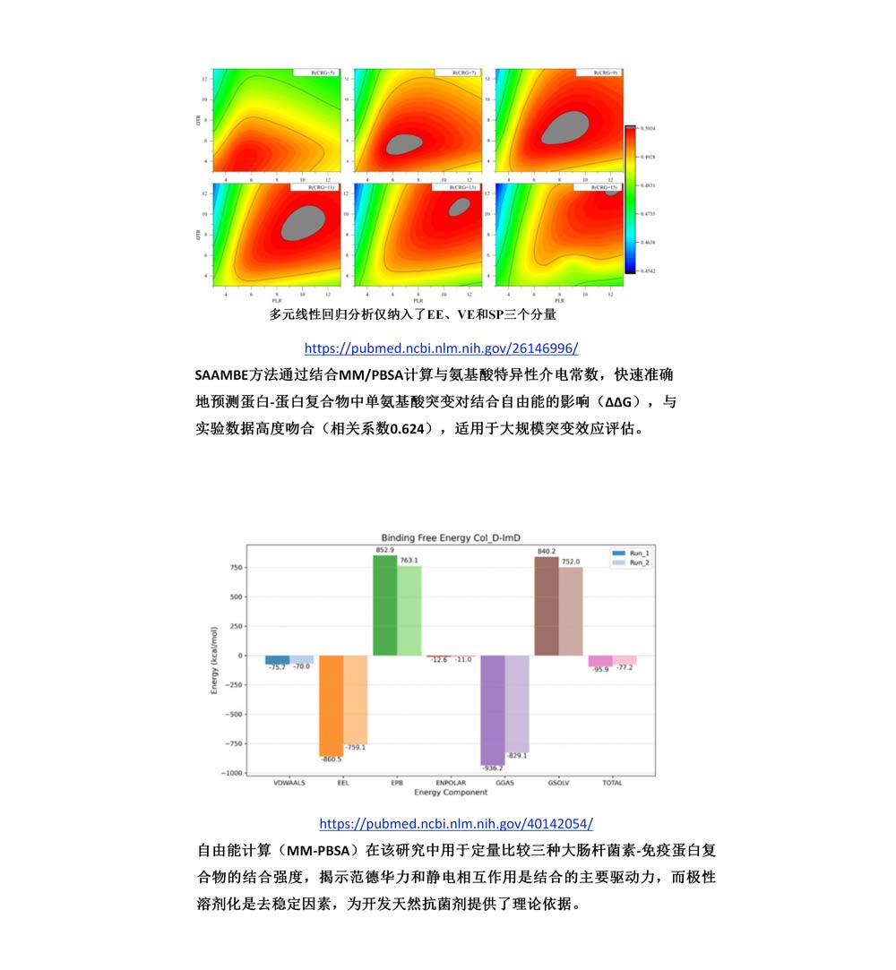 结合自由能力分析