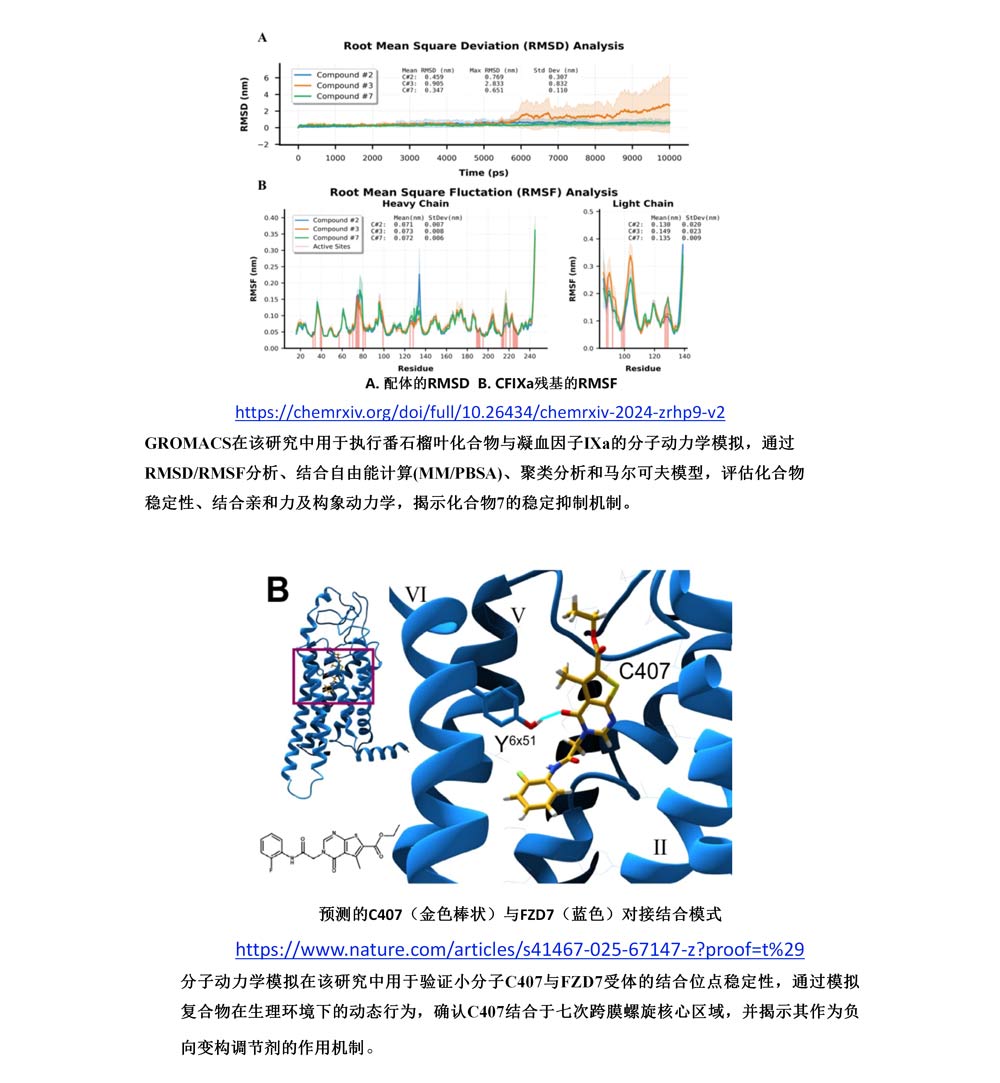 分子动力学模拟