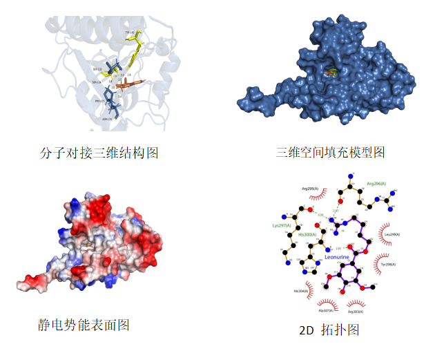 分子对接服务