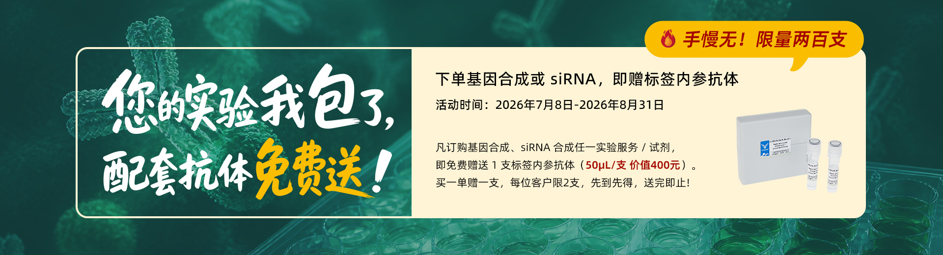 基因 siRNA合成