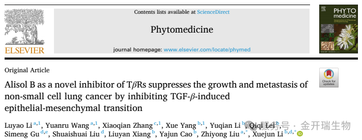 分子动力学