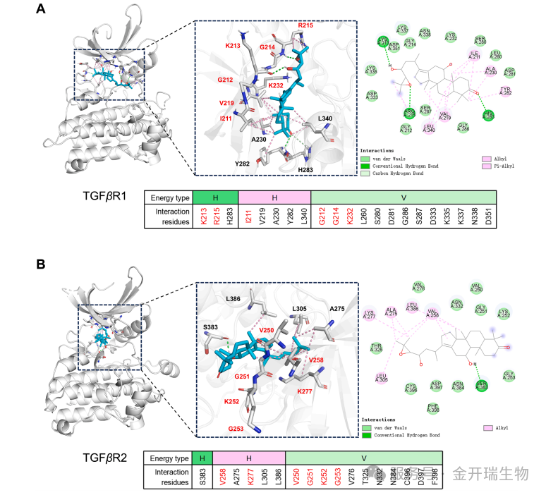 分子动力学