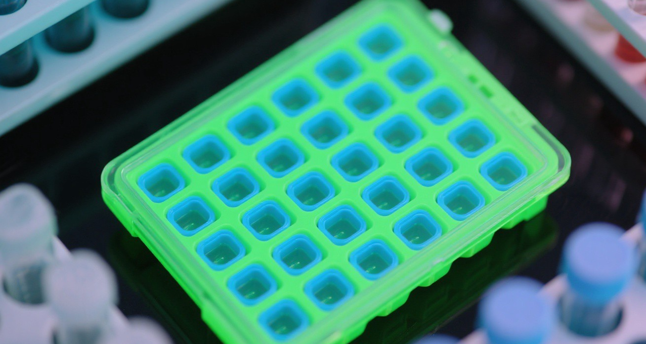 qPCR 96孔板俯视图,孔中显示绿色和蓝色荧光