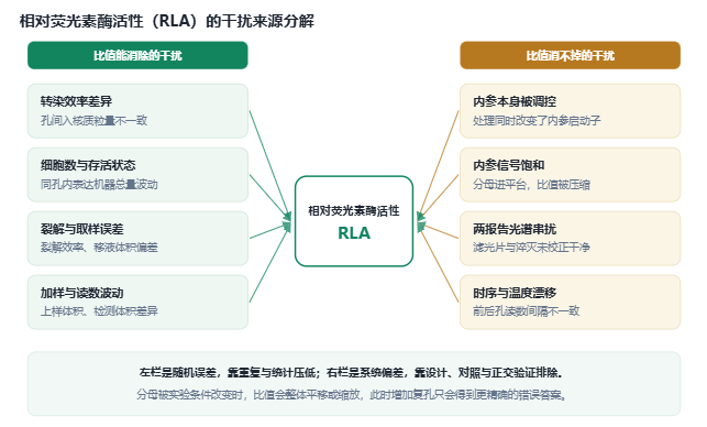 归一化功效分解图：左栏为比值能消除的干扰，右栏为比值消不掉的干扰，箭头汇聚到相对荧光素酶活性