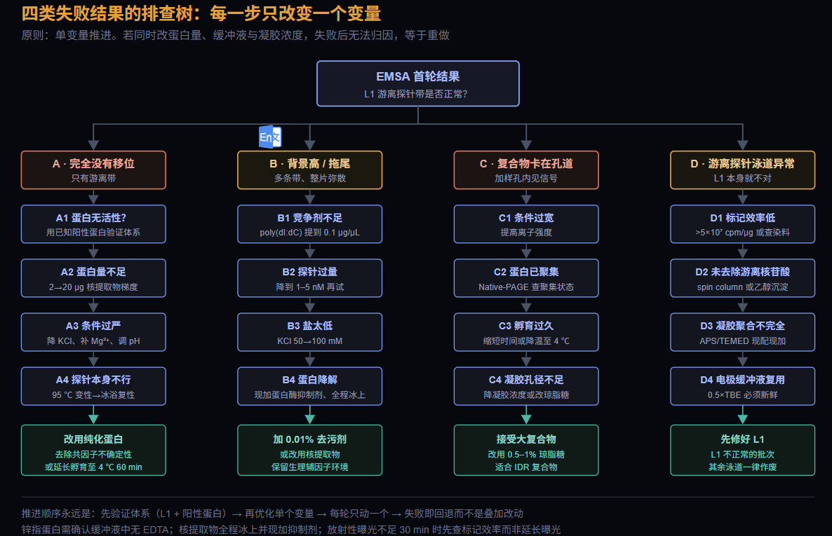 EMSA 四类失败结果的单变量排查树