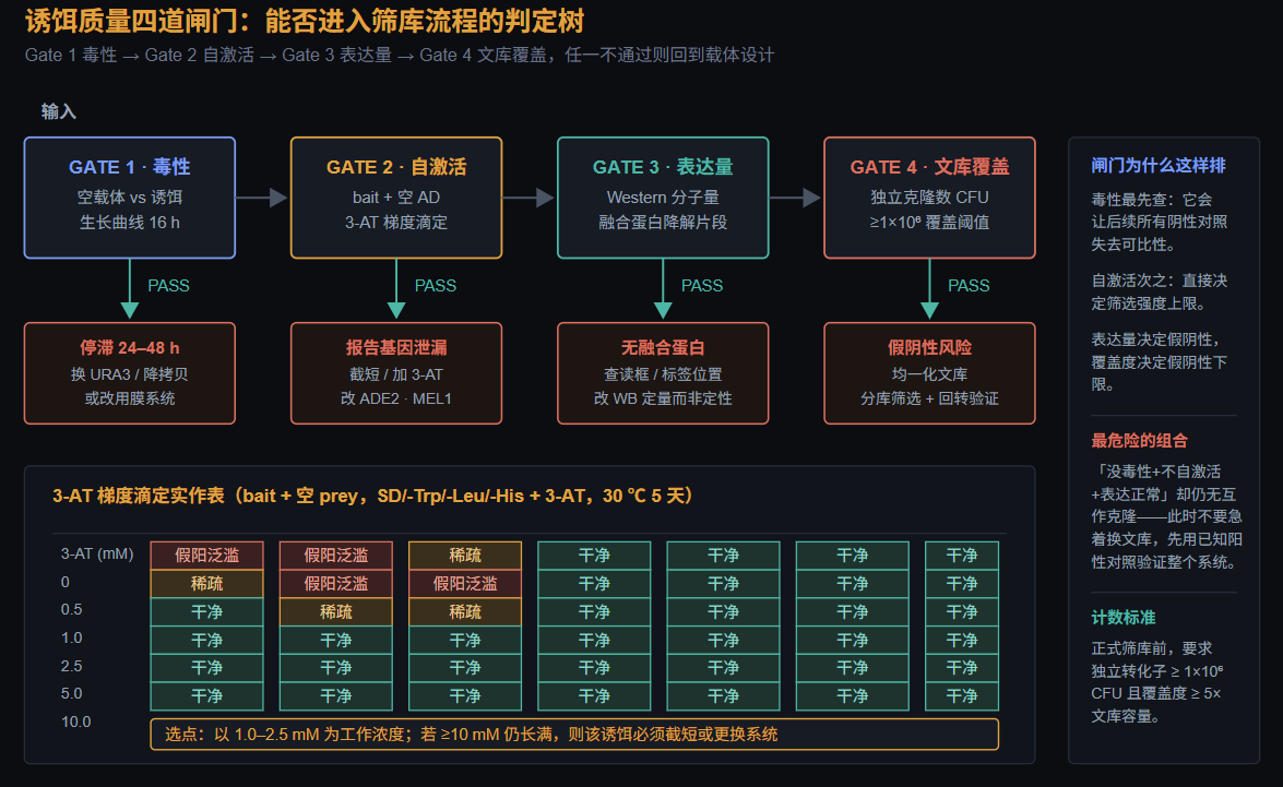 诱饵质量四道闸门判定树与3-AT梯度滴定实作表