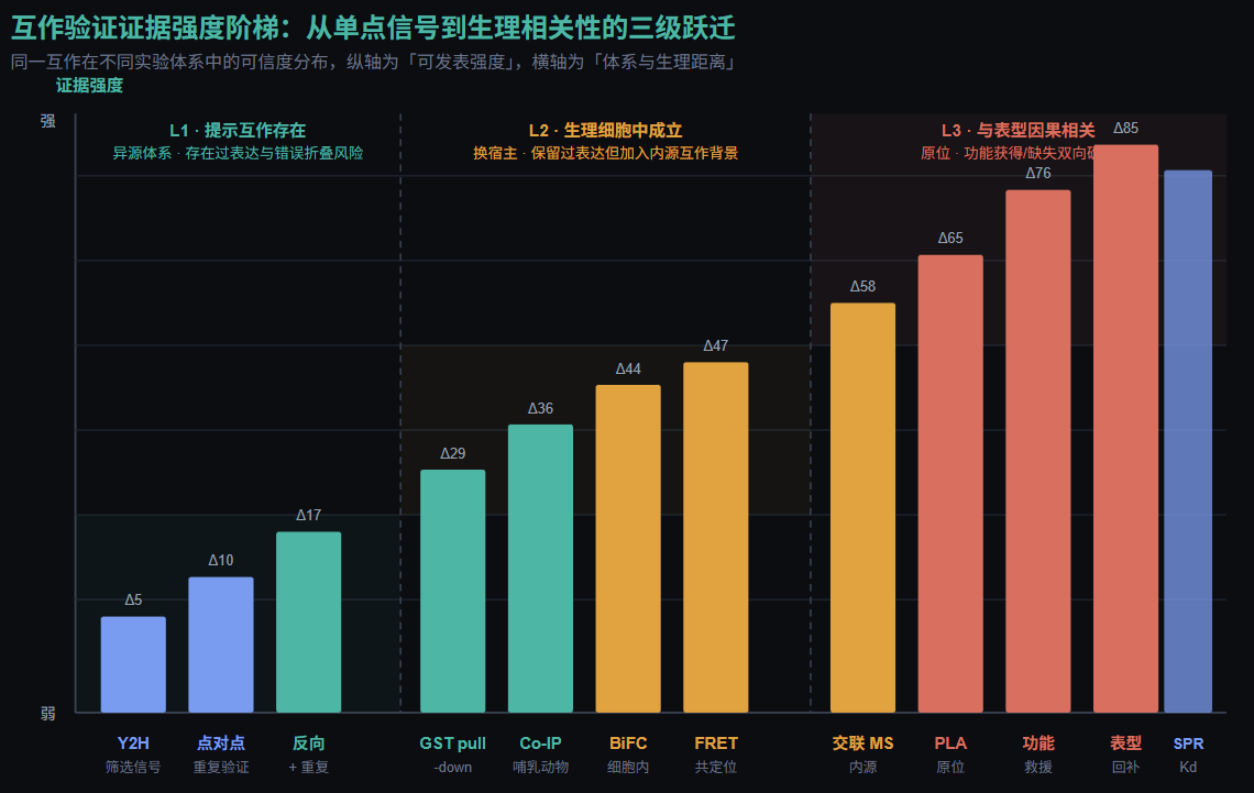 互作验证证据强度阶梯图
