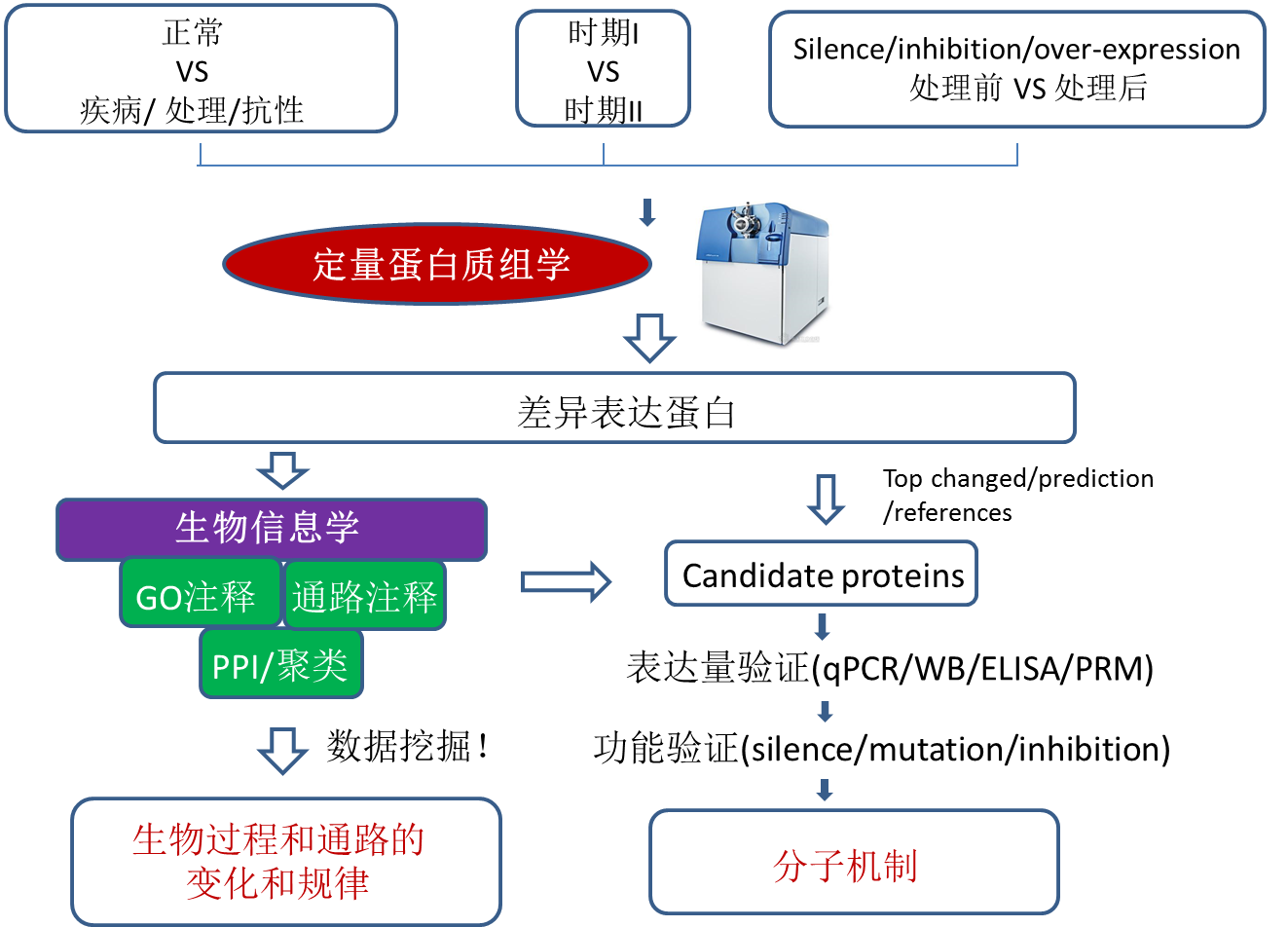 蛋白质组学研究思路