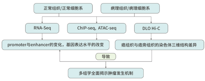 图片自作