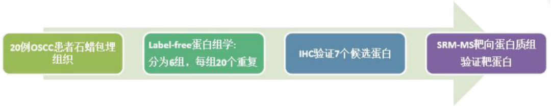 蛋白质组学技术路线