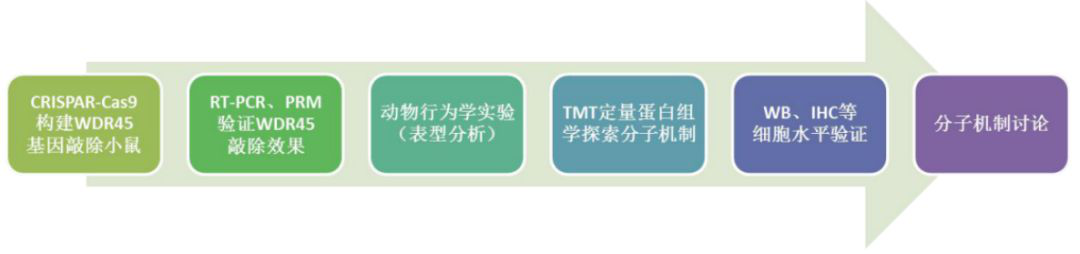 蛋白质组学技术路线