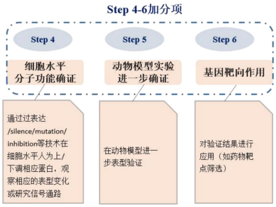 蛋白质组学设计思路