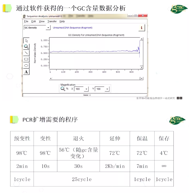 PCR扩增需要的程序