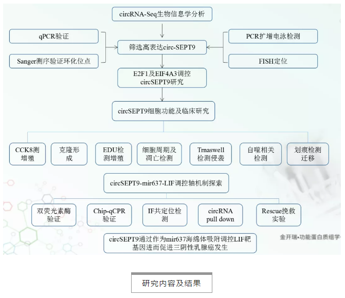 技术路线